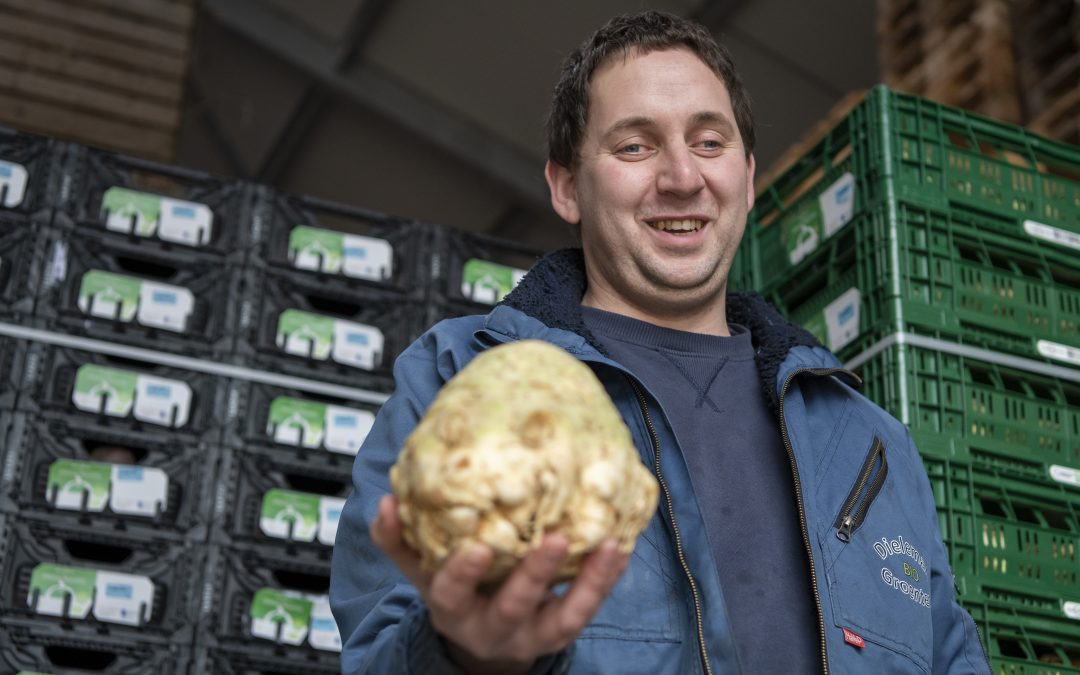 Zeeuwse Bio Groenten uit Waterlandkerkje