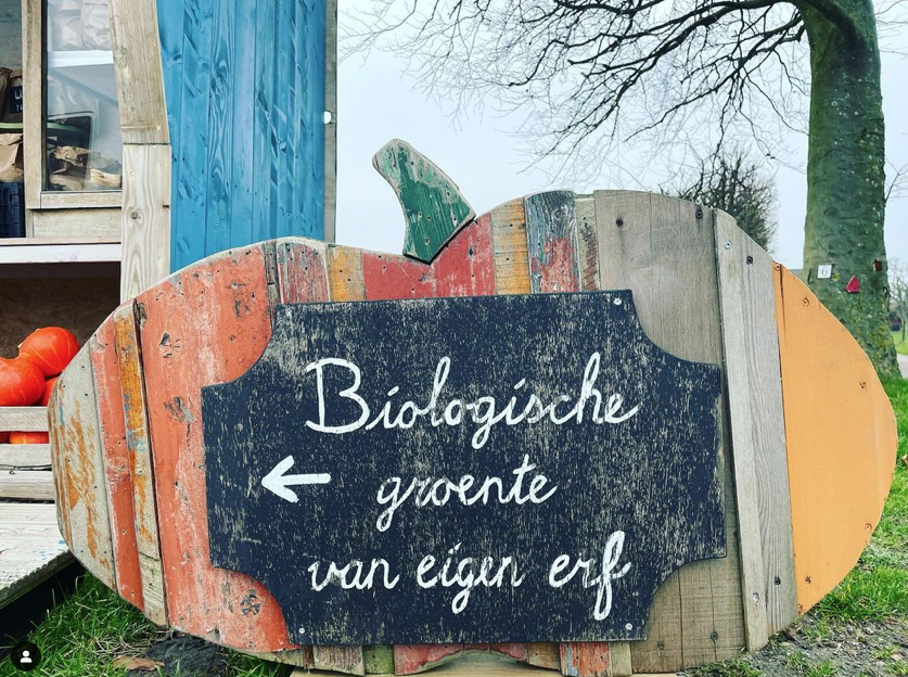 Jentohoeve Schoondijke biologisch groentekraam