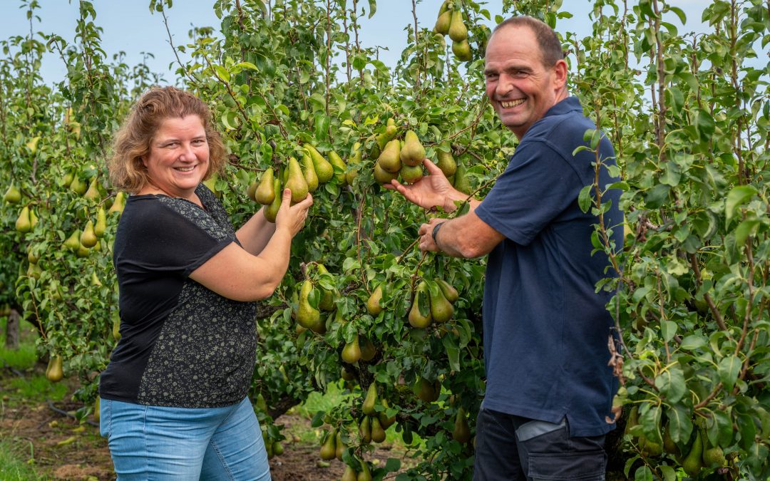 Cadsand Fruit in Zaamslag