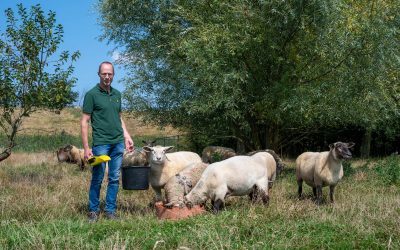 Natuurlijk Verschueren Lamsvlees in Graauw